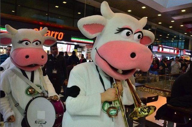 "s&uuml;taşkı Bandosu" 67 Burda Avm&rsquo;de 2