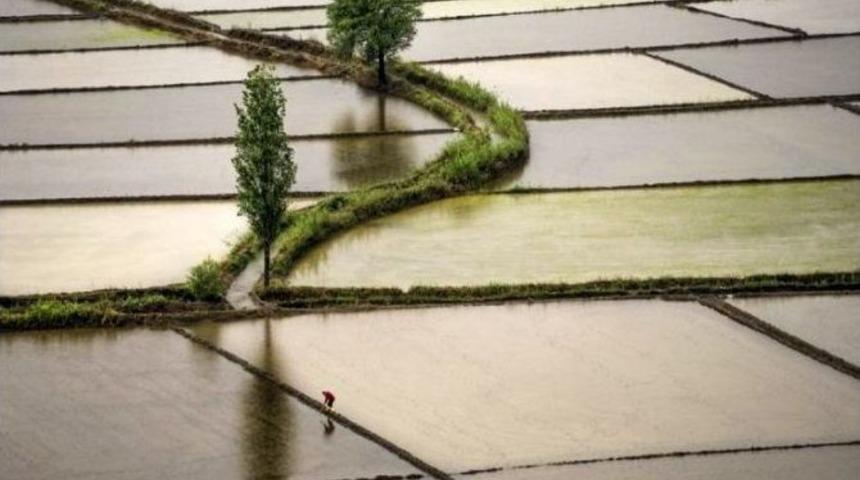 Osmancık&rsquo;ta &Ccedil;ekilen Fotoğraflar Yarışmalarda &Ouml;d&uuml;le Doymuyor