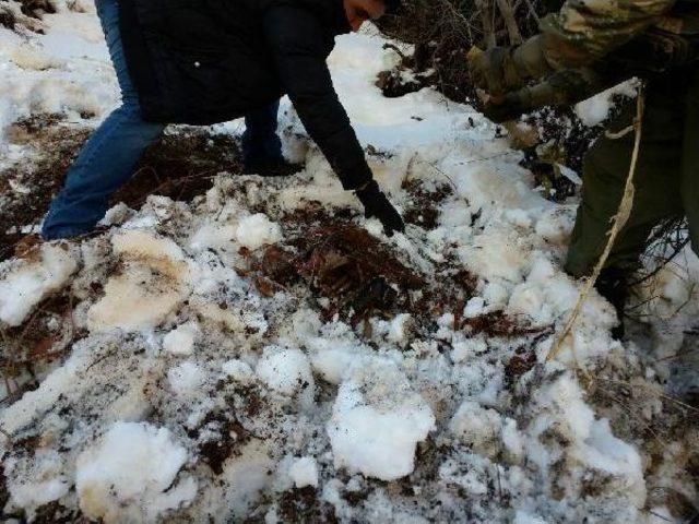 Hakkari'de Terör Örgütü Pkk'ya Ait Silah Ve Mühimmat Ele Geçirildi