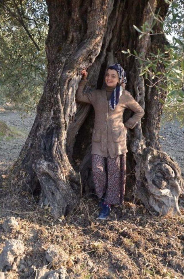 İş Bulamayınca Zeytinci Oldu 1