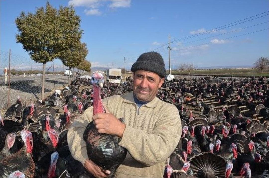 Yılbaşı Hindisi Kahramanmaraş&rsquo;tan