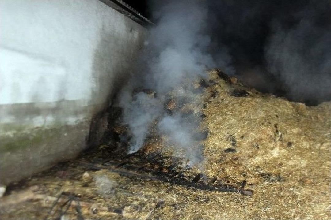 Bin 500 Saman Balyası Yanarak K&uuml;l Oldu