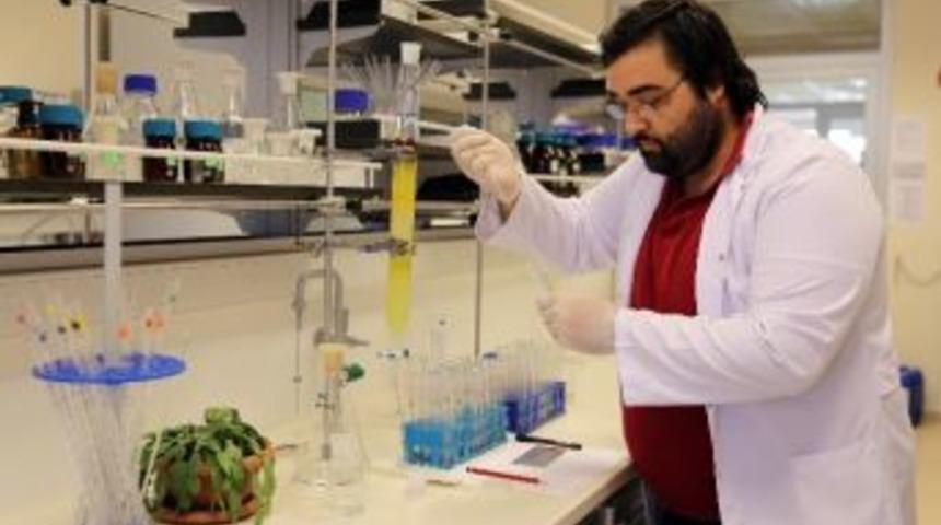 "yakın Gelecekte Şehirler Bitkilerle Aydınlanacak"