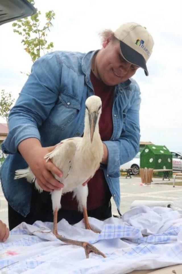 Uydu Vericili Leyleklerden Haber Var