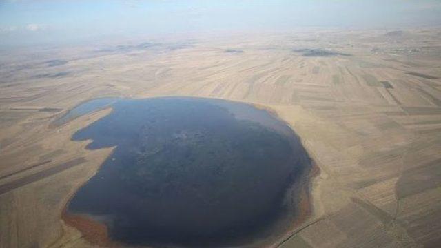 44 Bin 938 Kuş Gözlenen Kars Kuyucuk Gölü Kendi Rekorunu Kırdı