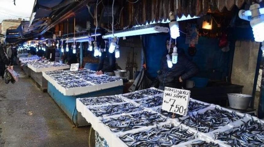 Hamsi Fiyatıyla Şaşırtmaya Devam Ediyor