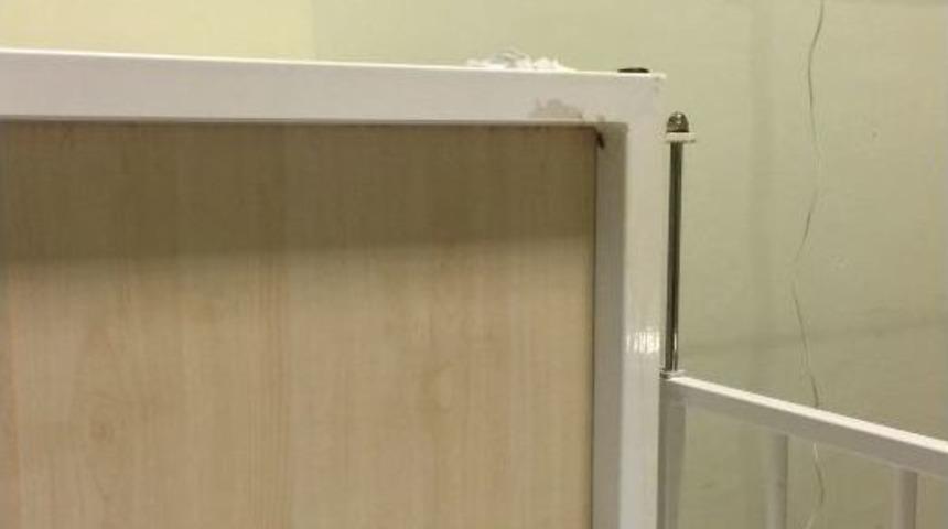 Cizre&rsquo;de Hastaneyi B&ouml;cekler İstila Etti