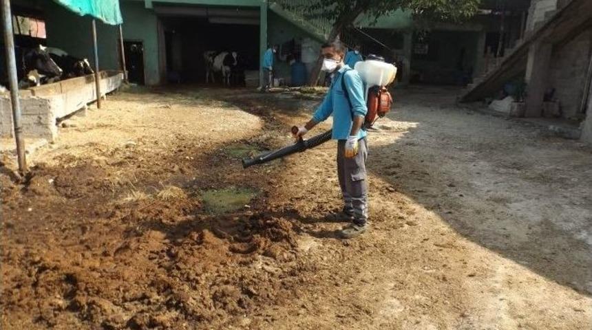 B&uuml;y&uuml;kşehir Sivrisinekle M&uuml;cadeleyi Kışın Başlattı