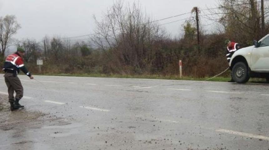 Sinop&rsquo;Ta Kamyonet Ağaca &Ccedil;arptı: 1 Yaralı