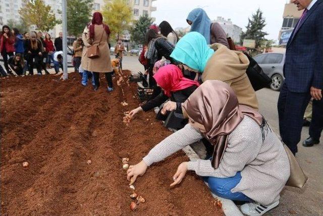 Belediye Başkanı Kara &Ouml;ğrencilerle Lale Dikti 1