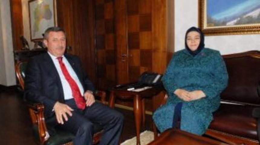 Cumhurbaşkanı Başdanışmanı Ayşen G&uuml;rcan: