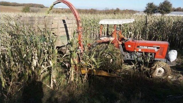 B&uuml;y&uuml;kşehir, Et &Uuml;reticilerinin Yem Sorununu &Ccedil;&ouml;zd&uuml; 2