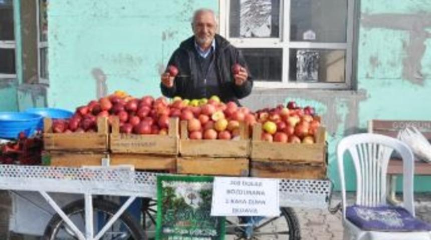 Seyyar Satıcıdan 200 Dolar Bozdurana Bir Kasa Elma Bedava