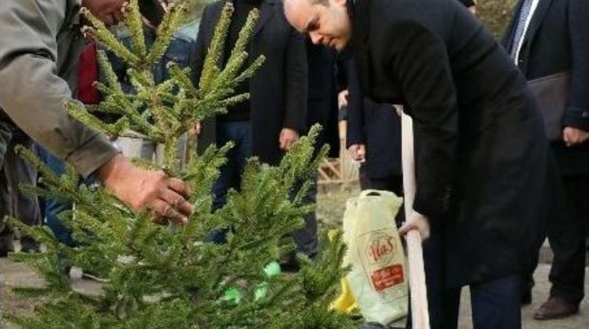 Gen&ccedil;lik Ve Spor Bakanlığı&rsquo;ndan 5 Yılda 1 Milyon Fidan