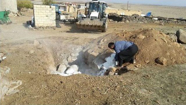 Siverek&rsquo;te Kuduz Alarmı 2