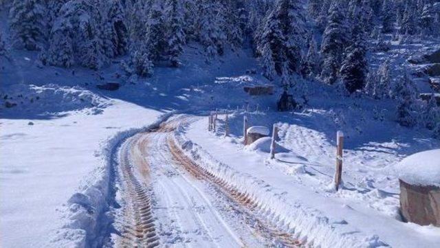 Karda Mahsur Kalan 2 Çoban Ve 400 Koyun Kurtarıldı 2