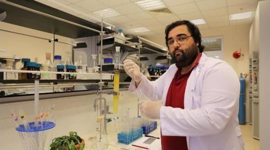 Kentleri Bitkiler Aydınlacak