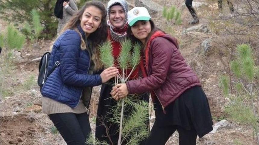 Aydın Kyk Ormanları Yeşeriyor