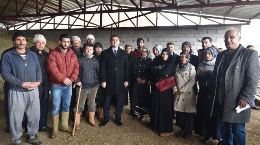 Gen&ccedil; &Ccedil;ift&ccedil;ilere Hayvancılık Desteği