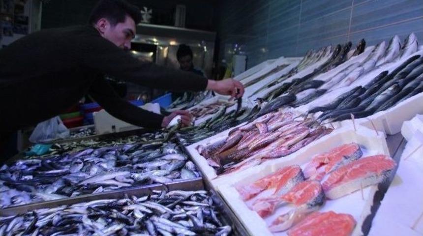 Lodos Balık Tezgahlarını Vurdu