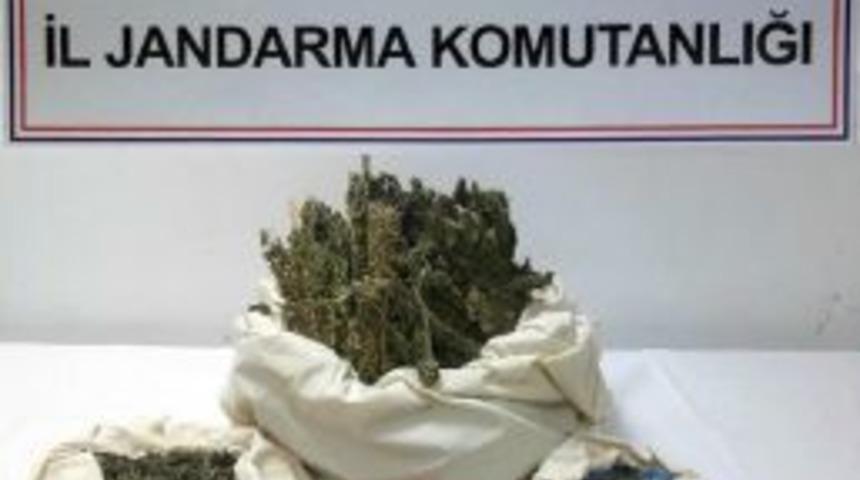 İşyerinde 5 Kilo 320 Gram Esrarla Yakalandı