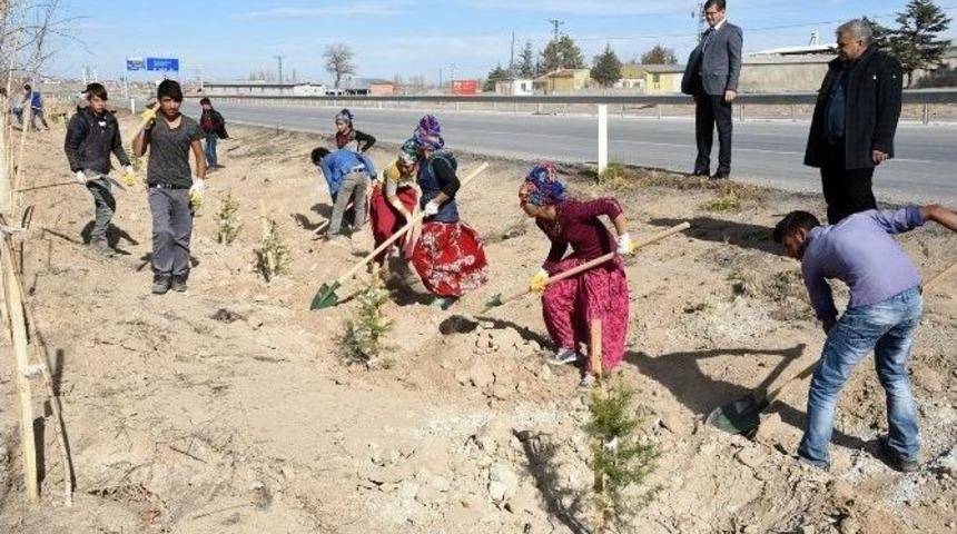 10 Yılda 2 Bu&ccedil;uk Milyon Fidan Toprakla Buluştu