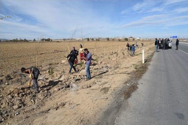 10 Yılda 2 Buçuk Milyon Fidan Toprakla Buluştu