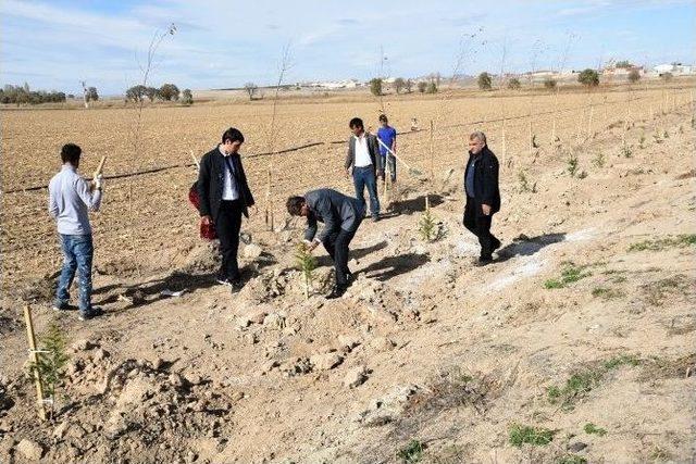 10 Yılda 2 Buçuk Milyon Fidan Toprakla Buluştu