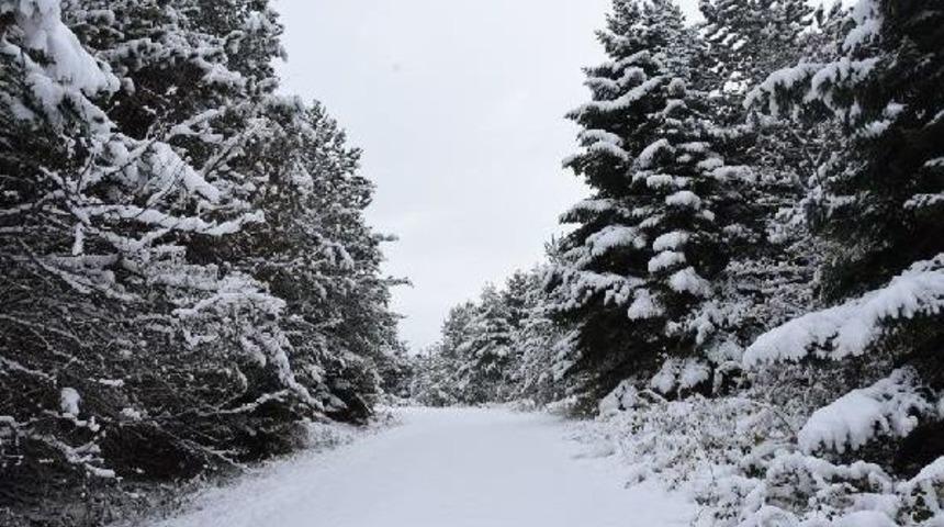 Sinop'ta 33 K&ouml;y Yolu Kapalı