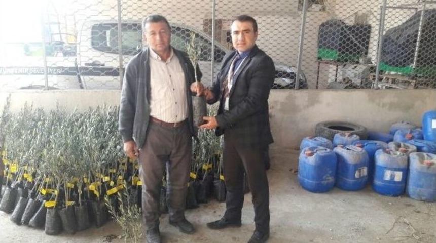 Sarıg&ouml;ll&uuml; Zeytin &Uuml;reticilerine B&uuml;y&uuml;kşehirden Destek
