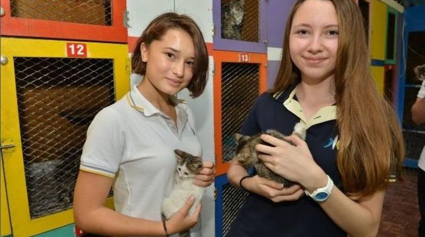 Konyaaltı Barınağını 11 Ayda 2 Bin 640 Kişi Ziyaret Etti