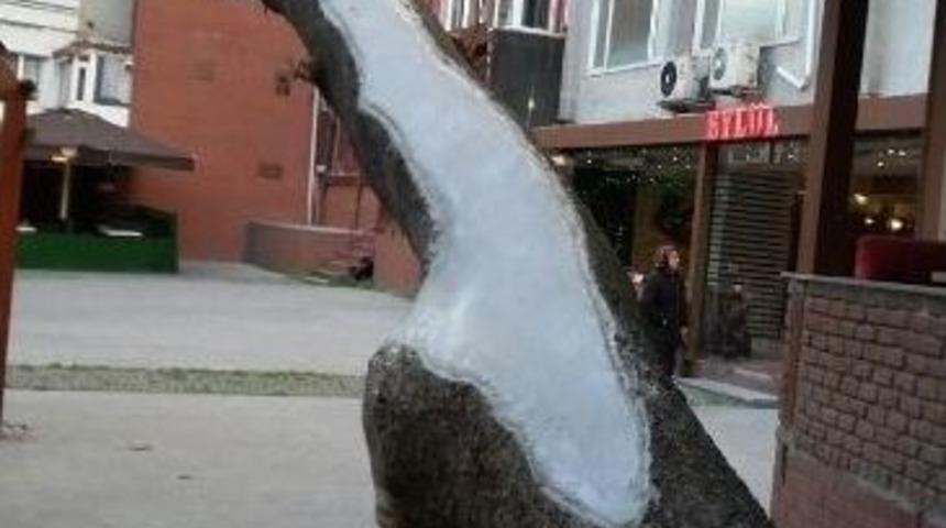 İzmit Belediyesi Ekipleri, Hasta Ağaca Tedavi Uyguladı