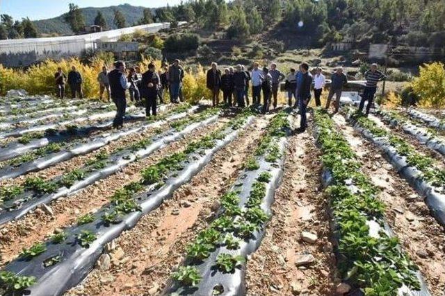 İnegöl Belediye Başkanı Alinur Aktaş: