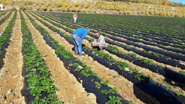 İnegöl Belediye Başkanı Alinur Aktaş: