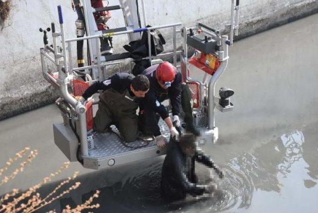 Derede &Ouml;l&uuml; Bulunan Kişinin Kimliği Belirlendi 1