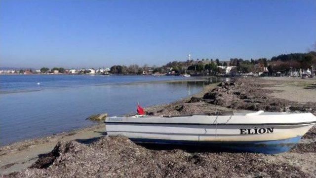 &Ccedil;anakkale de Deniz Suyu &Ccedil;ekildi 3