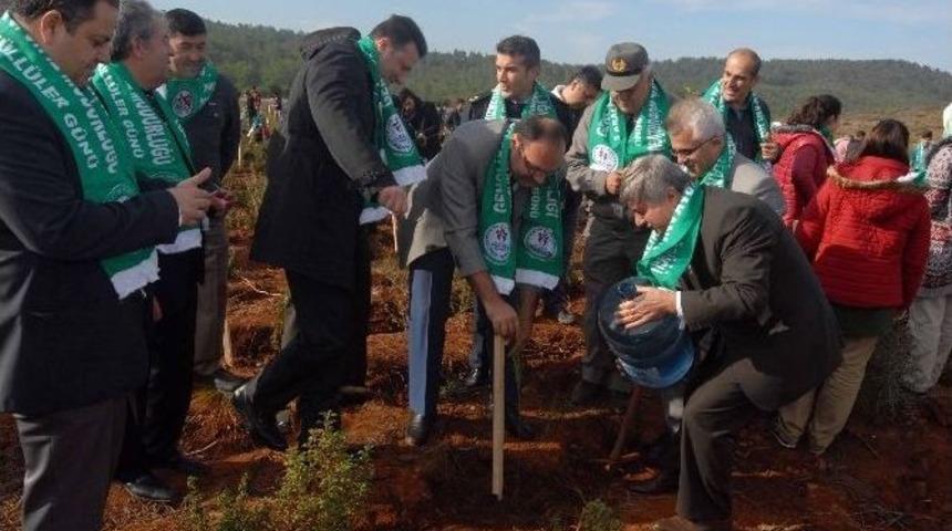 Şehit Ömer Halisdemir Hatıra Ormanına Sığla Ve Çam Fidanı Dikildi