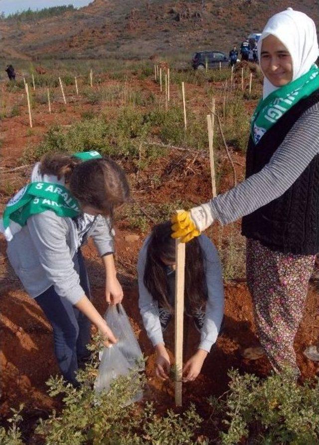 Şehit Ömer Halisdemir Hatıra Ormanına Sığla Ve Çam Fidanı Dikildi 1