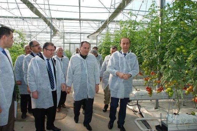 Vali Erin Kırsal Kalkınma Yatırımlarını İnceledi 1