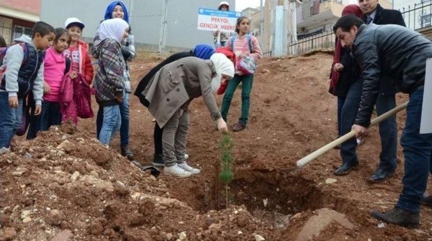 Gen&ccedil; G&ouml;n&uuml;ll&uuml;ler Okul Bah&ccedil;esine Ağa&ccedil; Dikti