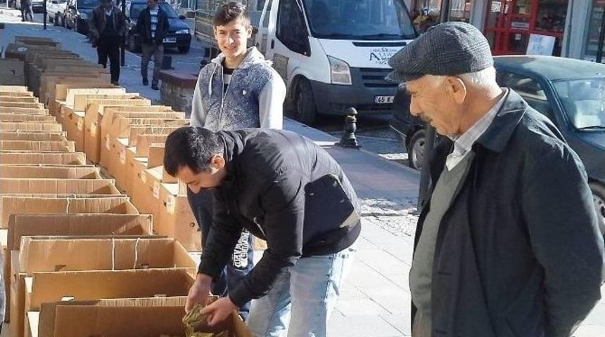 Selendi&rsquo;de T&uuml;t&uuml;n Tespitleri Başladı