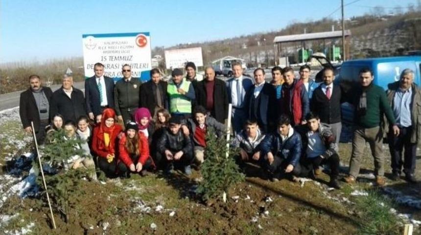 Demokrasi Şehitleri Hatıra Ormanı
