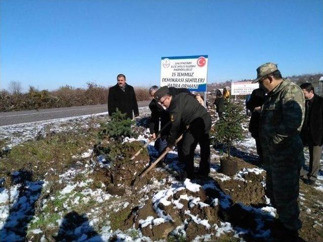 Demokrasi Şehitleri Hatıra Ormanı 1