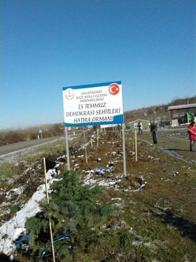 Demokrasi Şehitleri Hatıra Ormanı 2