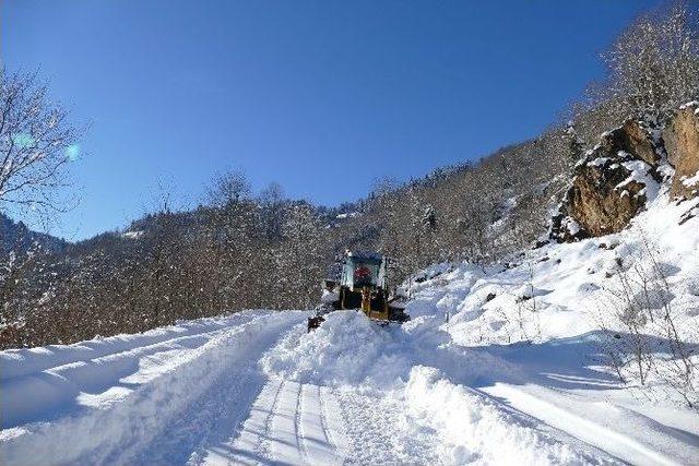 Trabzon’da Karla Mücadele Çalışmaları