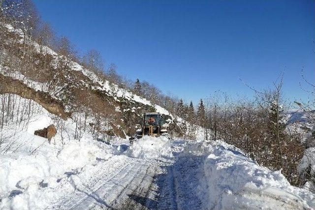 Trabzon’da Karla Mücadele Çalışmaları