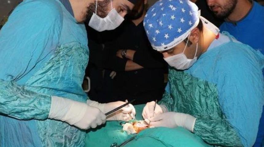 Av K&ouml;peğine Boyun Fıtığı Ameliyatı