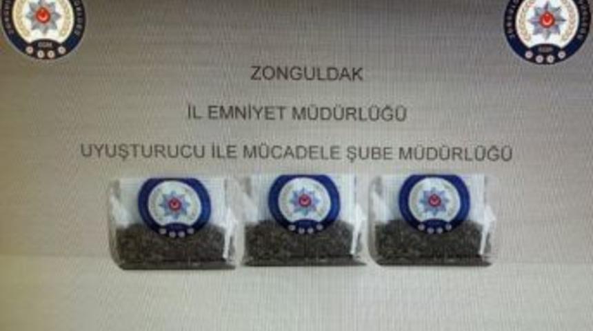 Bebeğin &Ccedil;antasından Bonzai &Ccedil;ıktı