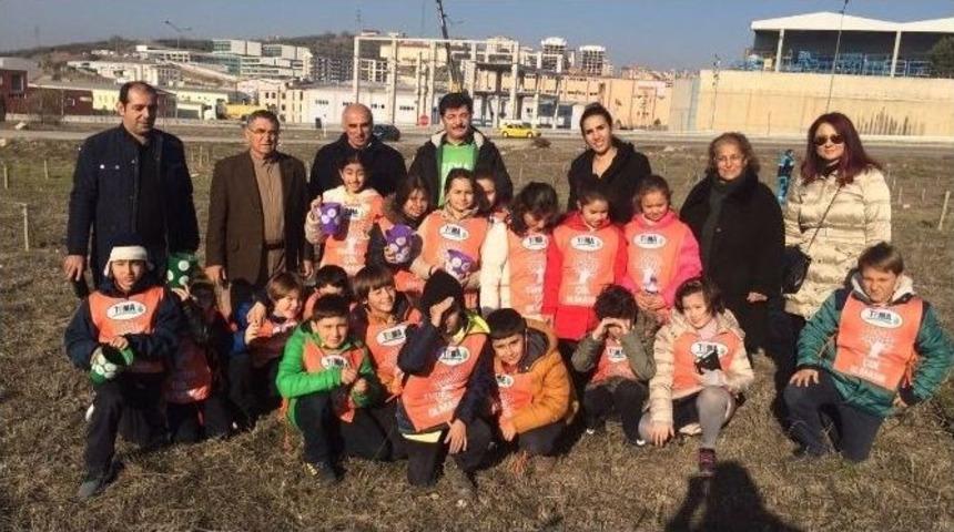 Ağa&ccedil; Kardeşliği B&uuml;y&uuml;yor