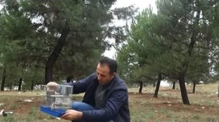 Tuzakla Yakalanan Sakalar Tabiata Bırakıldı